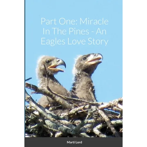 Part One: Miracle In The Pines - An Eagles Love Story - Paperback