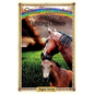 Fighting Chance: Sometimes Horses Need a Little Magic - Paperback