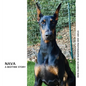 Nava: A Bedtime Story - Hardcover