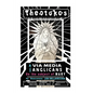 Theotokos: A Via Media for Anglicans on the Subject of Mary: A Via Media for Anglicans on the Subject of Mary - Paperback