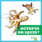 Octopus or Squid? - Library Binding