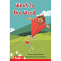 What Is the Word?: Prek/K: Book 28 - Paperback