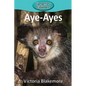 Aye-Ayes - Paperback