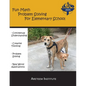 Fun Math Problem Solving For Elementary School - Paperback