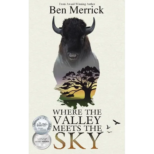 Where the Valley Meets the Sky - Paperback