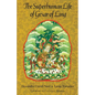 The Superhuman Life of Gesar of Ling - Paperback