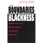 The Boundaries of Blackness: AIDS and the Breakdown of Black Politics - Paperback