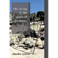 The Swing at the Gates of Eternity: An Elizabeth Cromwell Mystery - Paperback