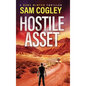 Hostile Asset - Hardcover
