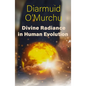 Divine Radiance in Human Evolution - Paperback