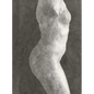 Rodin: Photographs by Emmanuel Berry - Hardcover