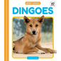 Dingoes - Library Binding