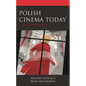 Polish Cinema Today: A Bold New Era in Film - Paperback