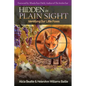 Hidden in Plain Sight - Paperback