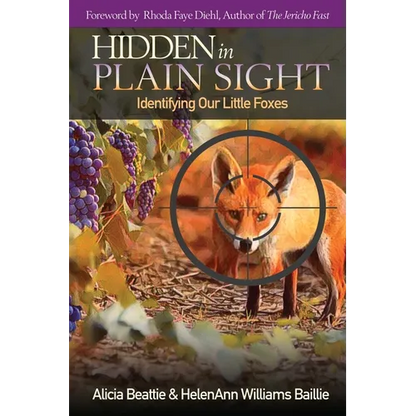 Hidden in Plain Sight - Paperback