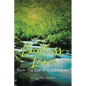 Endless Love From The Eye of a Caregiver - Paperback