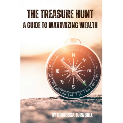 The Treasure Hunt - a guide to maximizing wealth - Paperback
