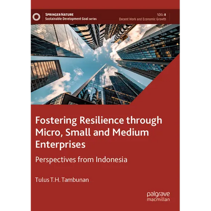 Fostering Resilience Through Micro, Small and Medium Enterprises: Perspectives from Indonesia - Paperback