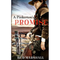 A Pinkerton's Promise: A Classic Western - Paperback