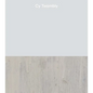 Cy Twombly - Hardcover