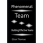 Phenomenal Team: Building Effective Teams - Paperback