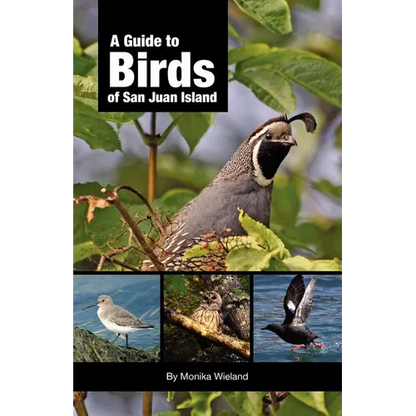 A Guide to Birds of San Juan Island - Paperback