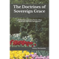The Doctrines of Sovereign Grace: A Biblical Introduction from a Non-Moderate Calvinist Perspective - Paperback