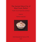 The Ancient Maya City of Blue Creek, Belize: Wealth, Social Organization and Ritual - Paperback