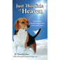 Just This Side of Heaven - Hardcover