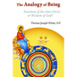 The Analogy of Being: Invention of the Antichrist or Wisdom of God? - Paperback