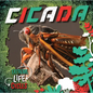 Cicada - Library Binding