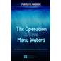 The Operation of the Woman That Sits Upon Many waters - Paperback