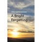 A Bright Forgetting - Paperback
