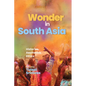 Wonder in South Asia: Histories, Aesthetics, Ethics - Hardcover