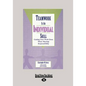 Teamwork Is an Individual Skill: Getting Your Work Done When Sharing Responsibility (Large Print 16pt) - Paperback