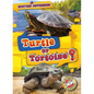 Turtle or Tortoise? - Library Binding