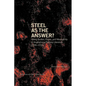 Steel as the Answer?: Viking Bodies, Power, and Masculinity in Anglophone Fantasy Literature 2006-2016 - Paperback