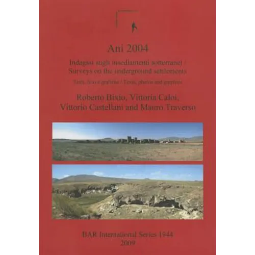 Ani 2004: Indagini sugli insediamenti sotterranei: Testi, foto e grafiche / Surveys on the underground settlements: Texts, photos and graphics - Paperback