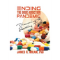 Ending the Drug Addiction Pandemic: Discovering the Liberating Truth - Paperback