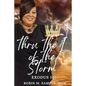 thru the I of the storm - Paperback