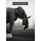 Natural History: Poems - Paperback
