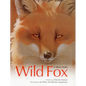 Wild Fox: A True Story - Hardcover