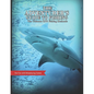 The Adventurer's Guide to Fishing: The Ultimate RPG Fishing Mechanic - Paperback