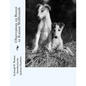 Observations on Borzoi or Russian Wolfhounds - Paperback
