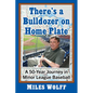 There's a Bulldozer on Home Plate: A 50-Year Journey in Minor League Baseball - Paperback