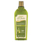 Dalan Olive Oil Shower Gel - Moisturizing & Nourishing Body Wash for Dry Skin - 13.53 fl oz