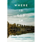 Where Is God in This? - Hardcover