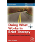 Doing What Works in Brief Therapy: A Strategic Solution Focused Approach - Paperback