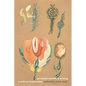 Surrealist Women's Writing: A Critical Exploration - Paperback