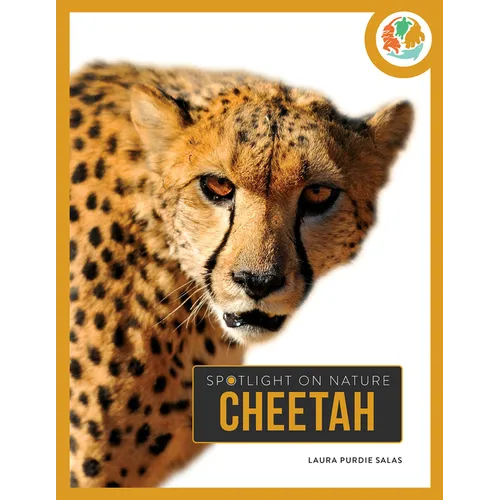 Cheetah - Paperback